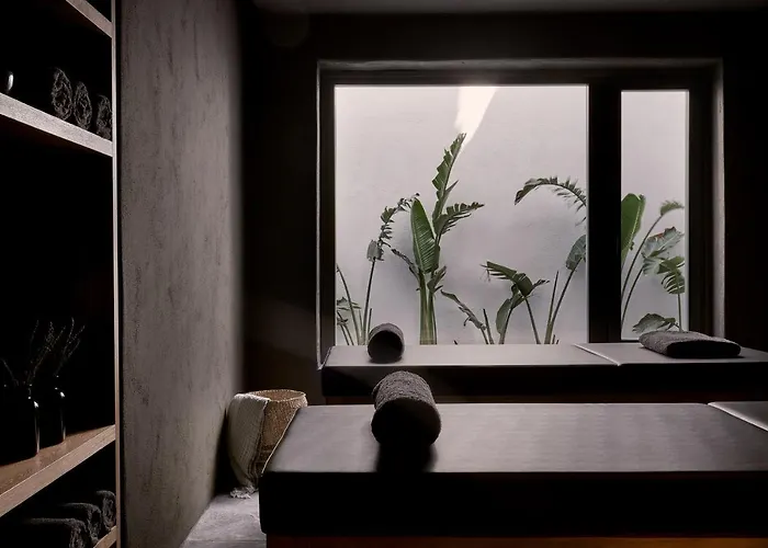 Archipelagos Elia (Mykonos)