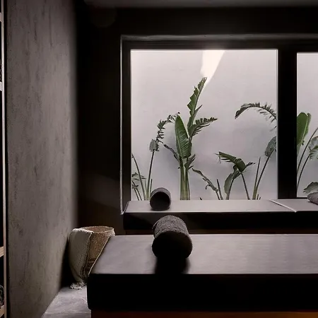 Archipelagos Elia (Mykonos)